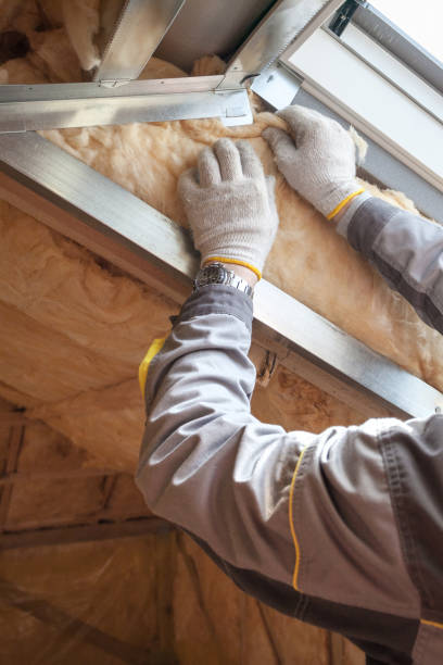 Best Insulation for Specific Applications in Edcouch, TX
